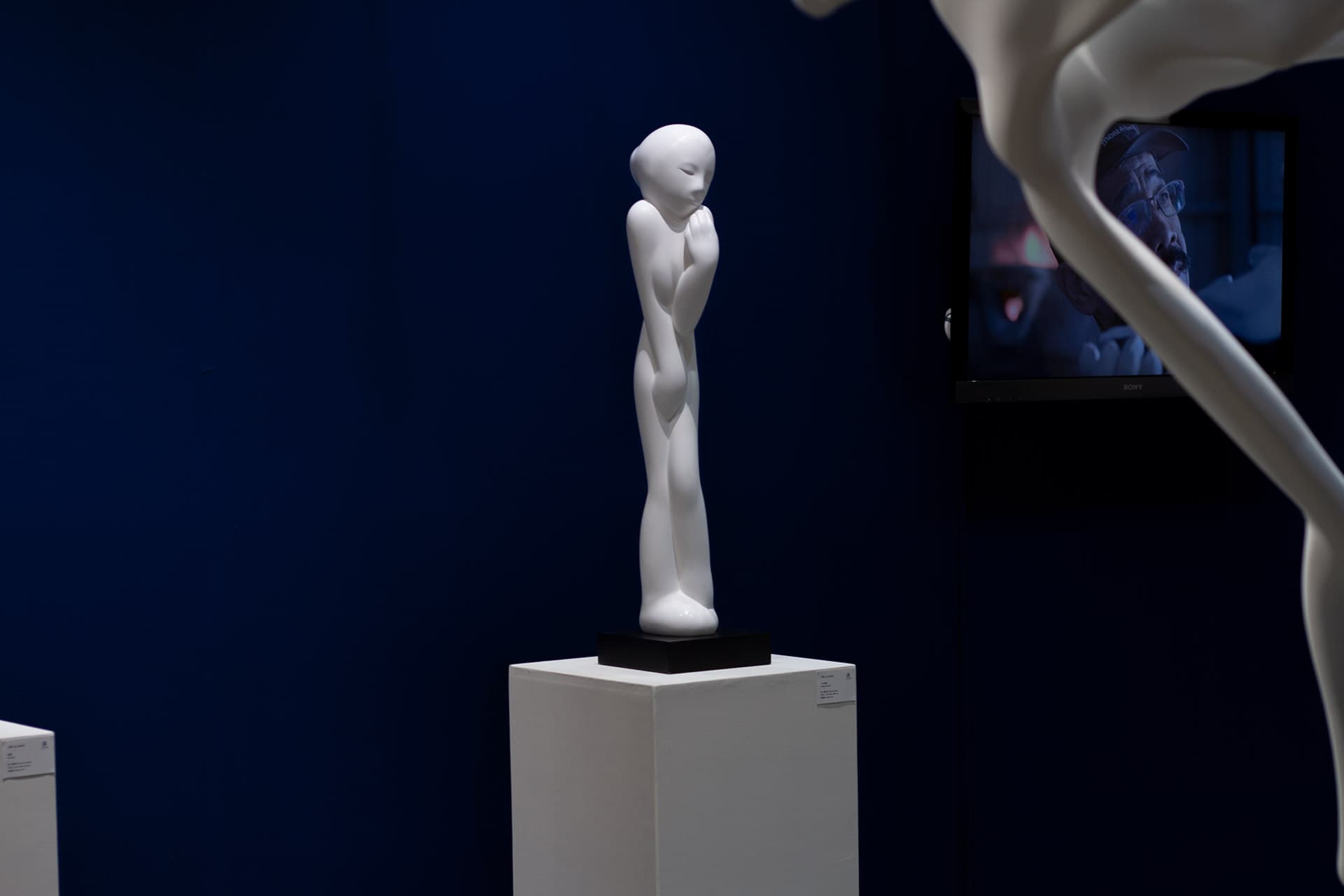 xunwang expo