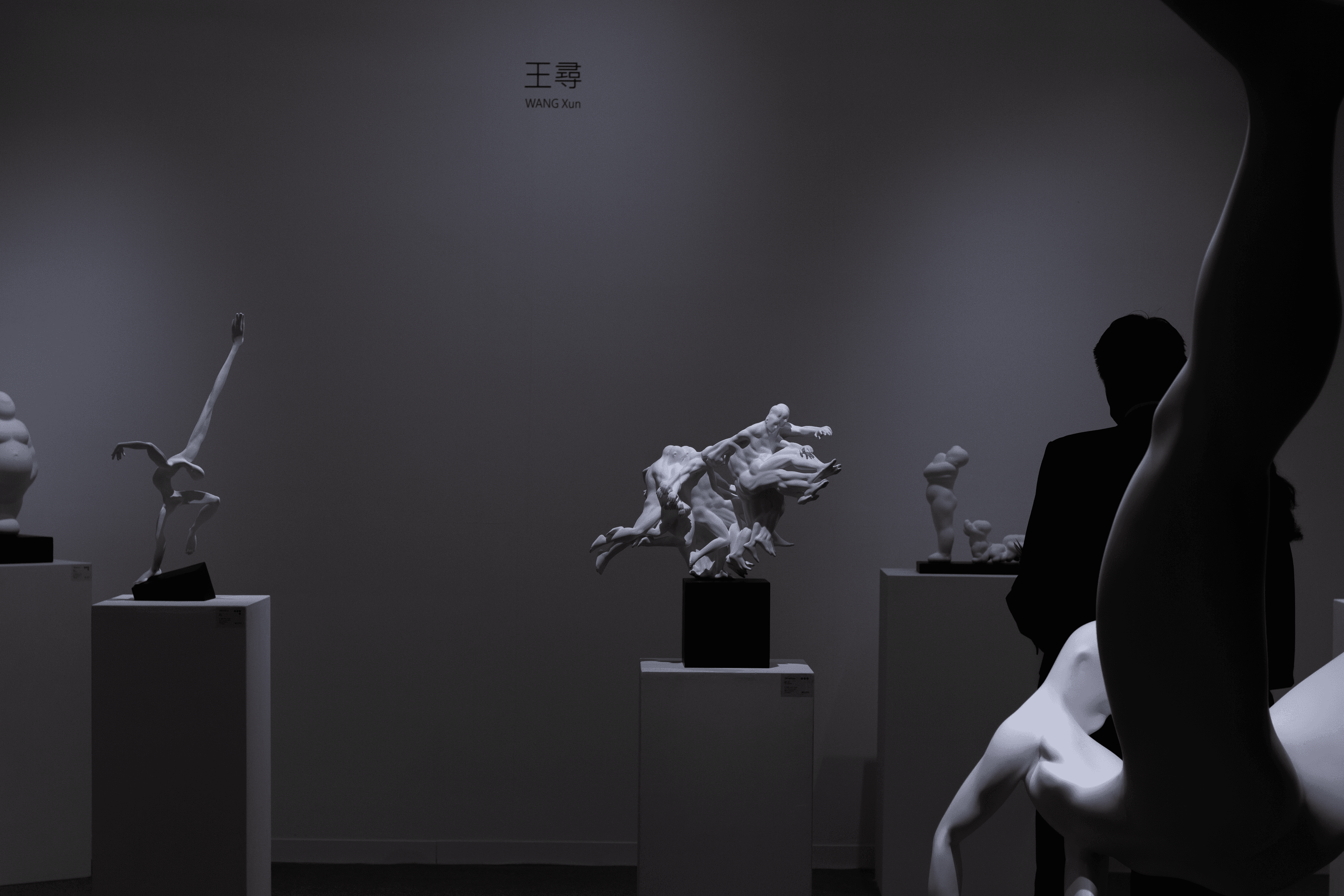 xunwang expo